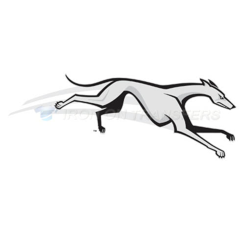 Loyola Maryland Greyhounds Iron-on Stickers (Heat Transfers)NO.4888